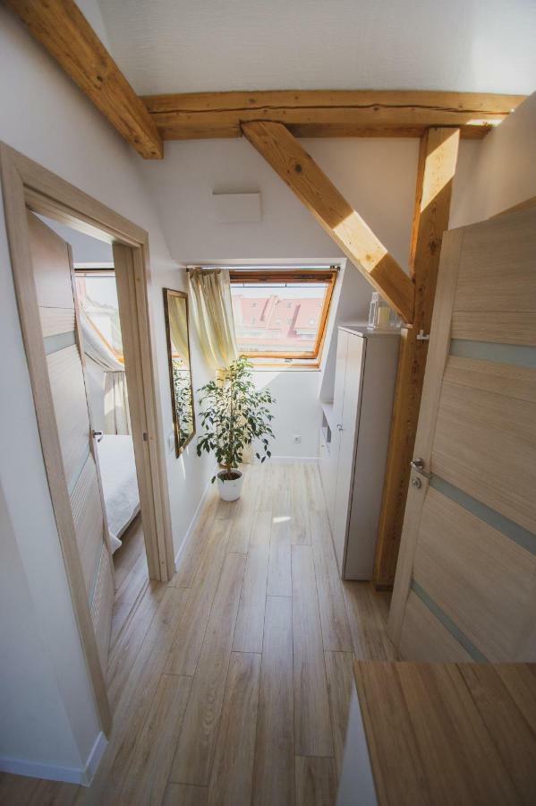 Apartamentai Niden - Su Terasa Ir Vaizdu I Marias Nidos Centre Экстерьер фото